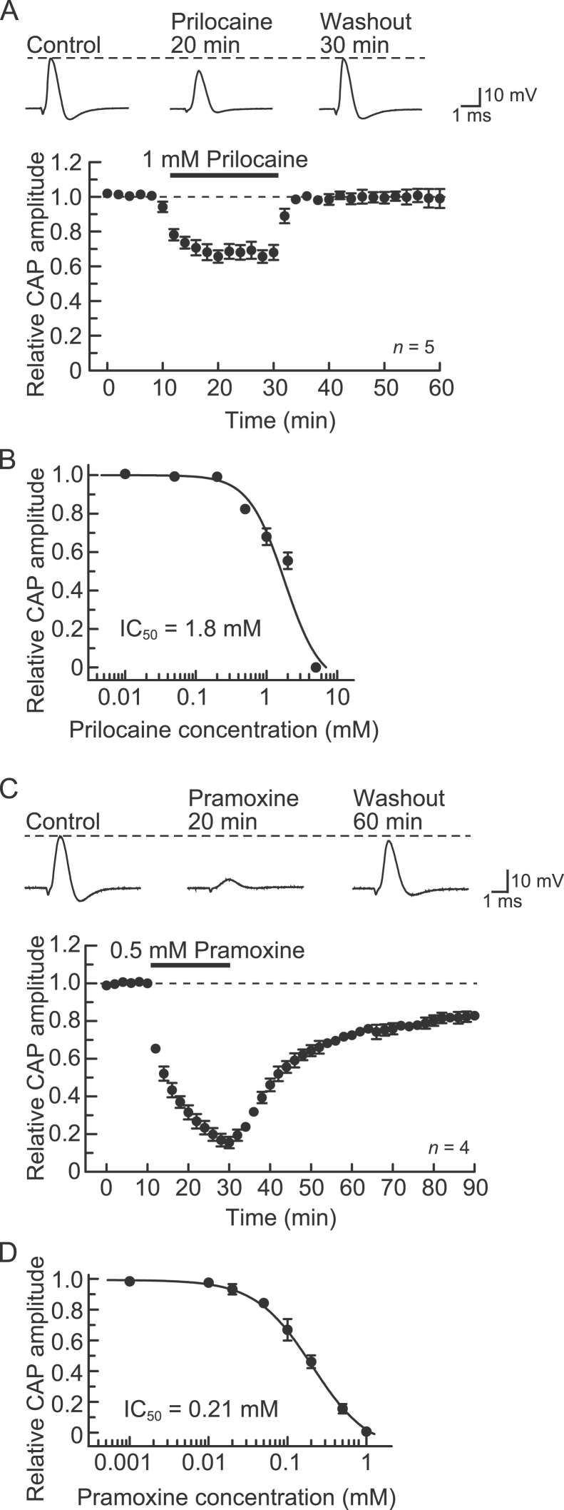 Fig. 5.