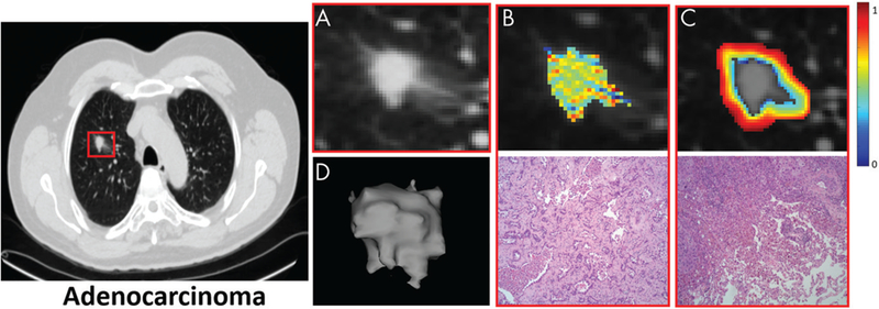 Figure 4: