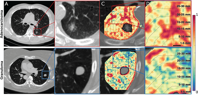 Figure 3: