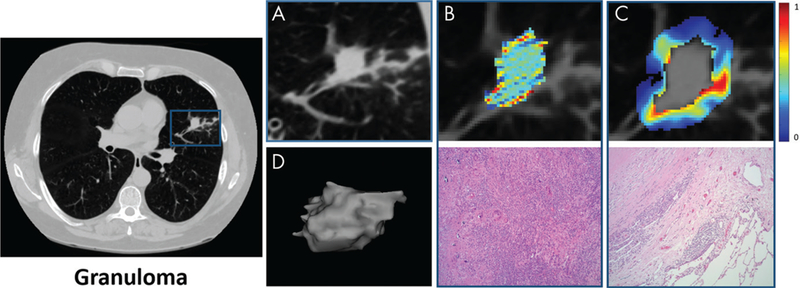 Figure 5: