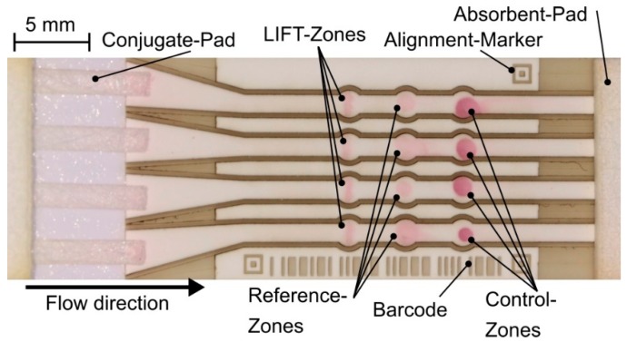 Figure 10