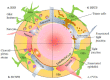 Fig. (1)