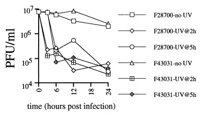 FIG. 6