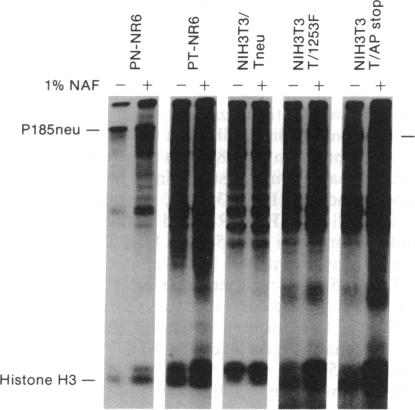 graphic file with name pnas01090-0059-a.jpg