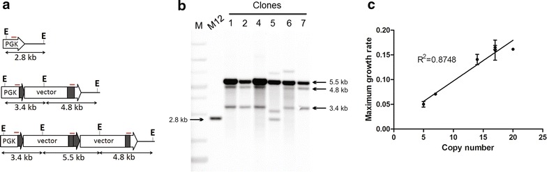 Fig. 5