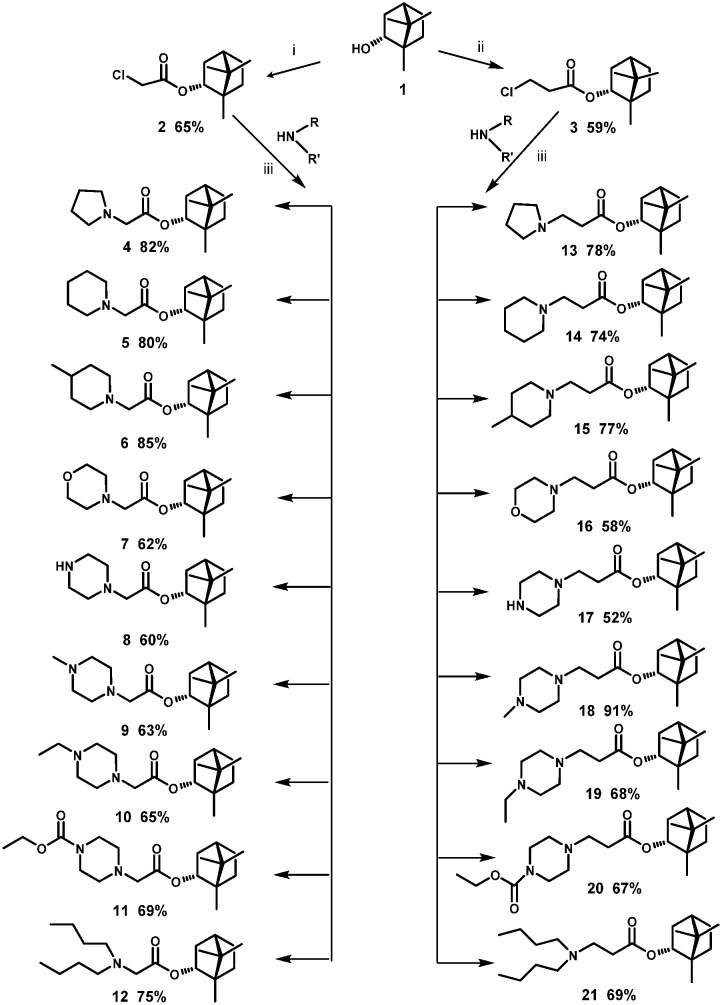 Scheme 1