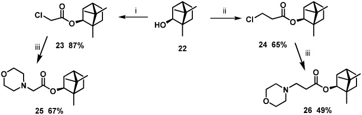 Scheme 2