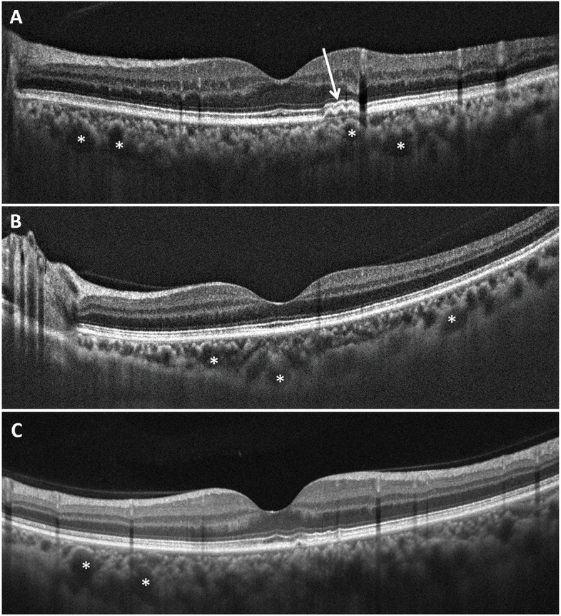 Fig. 3