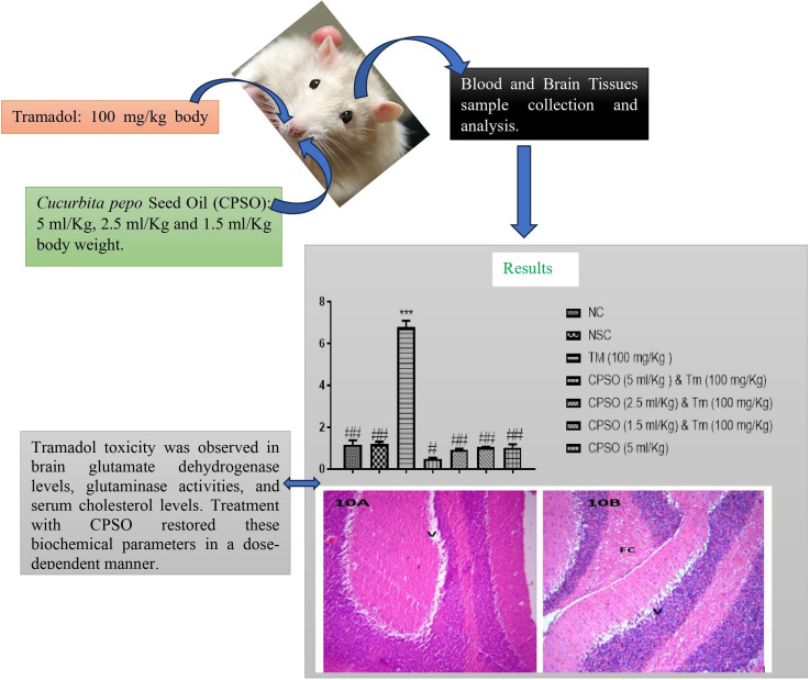 Graphical Abstract