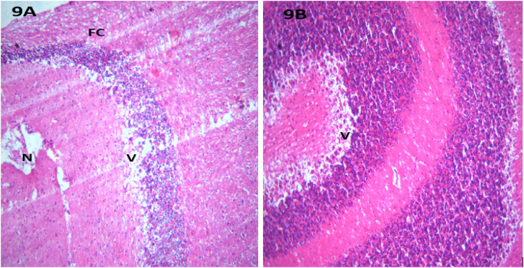 Figure 9.