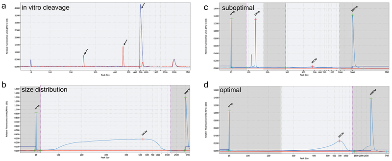 Figure 3 |