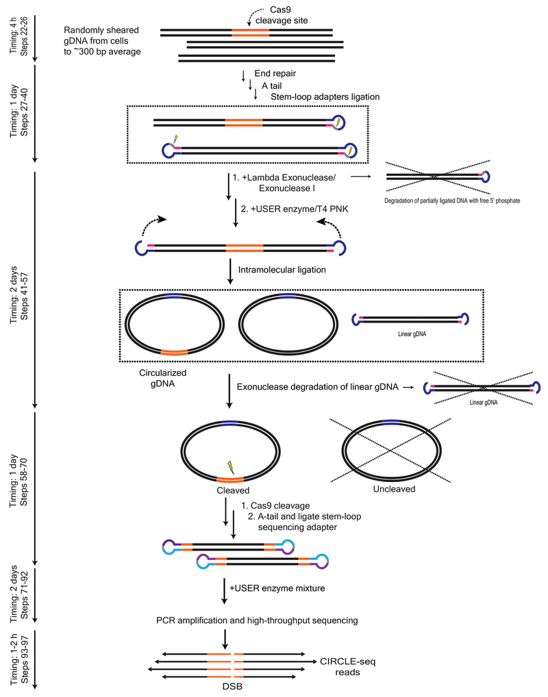 Figure 2 |