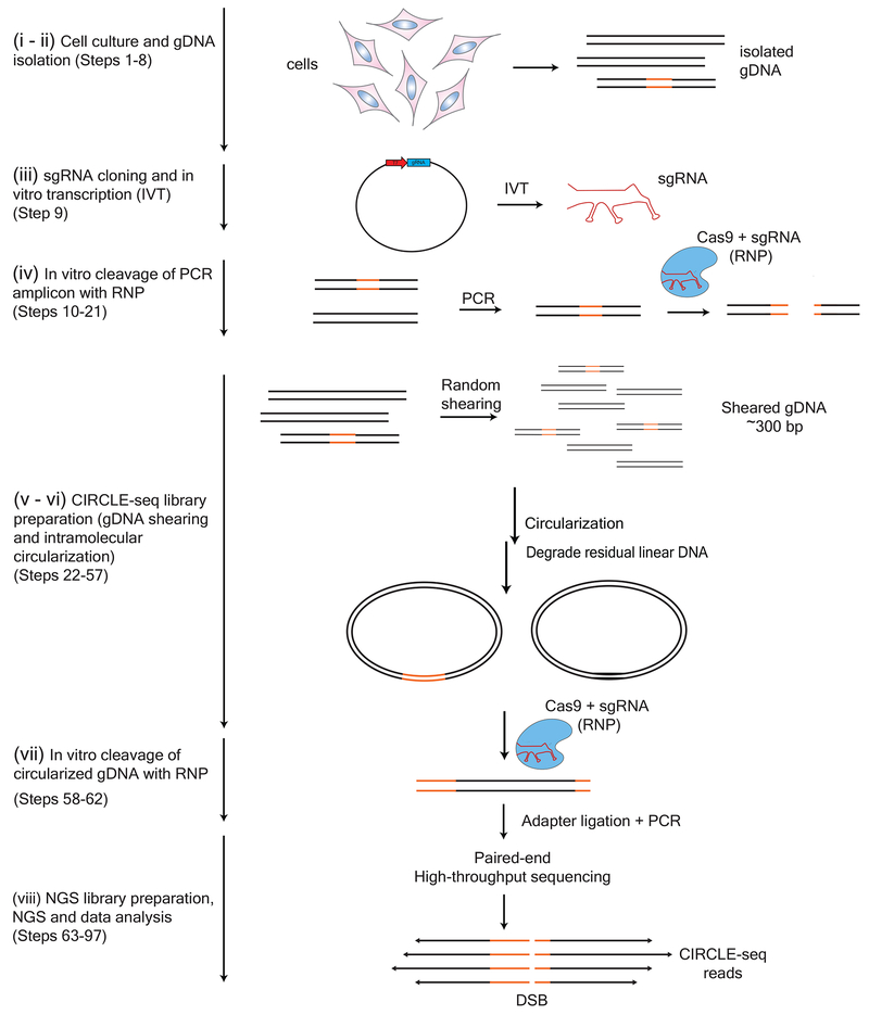 Figure 1 |