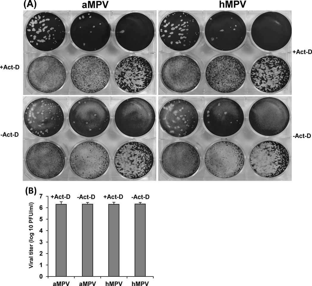 Fig.6