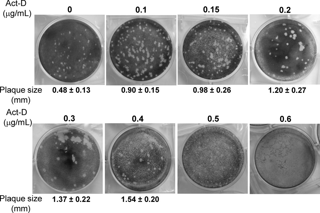 Fig.4