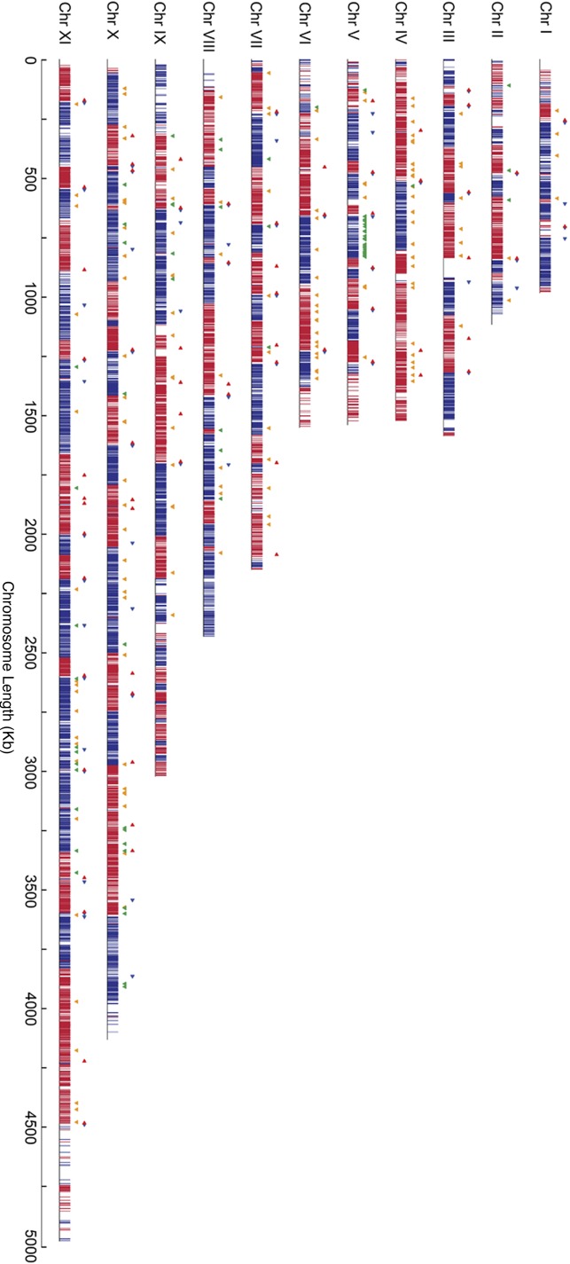 FIGURE 9: