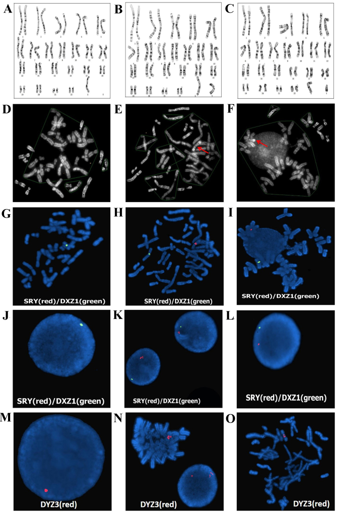 Figure 2.