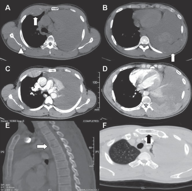 Figure 2)