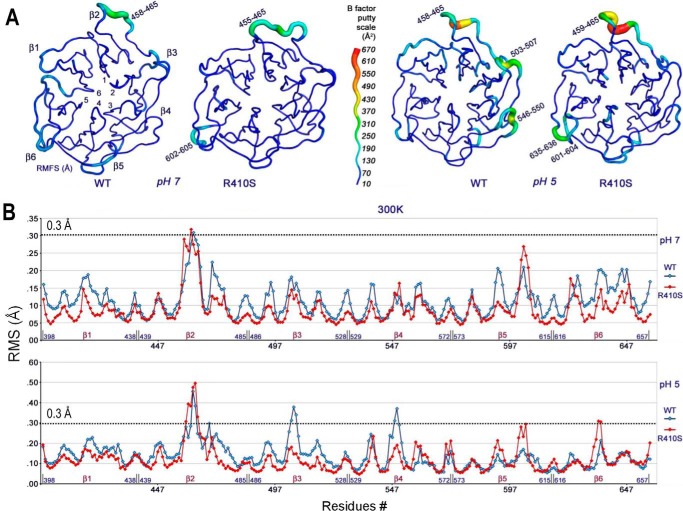 FIGURE 10.