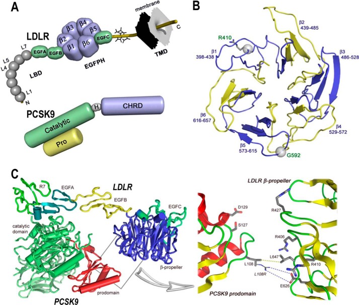 FIGURE 1.