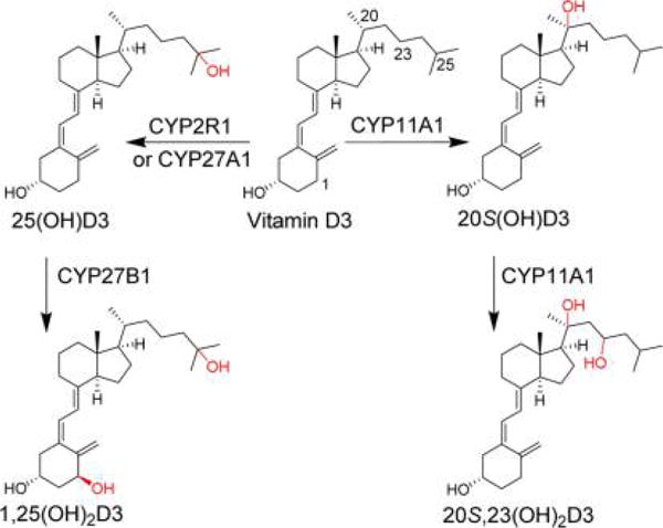 Figure 1