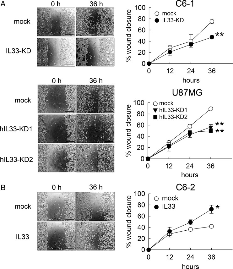 Fig. 8.