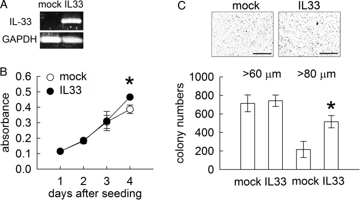 Fig. 6.