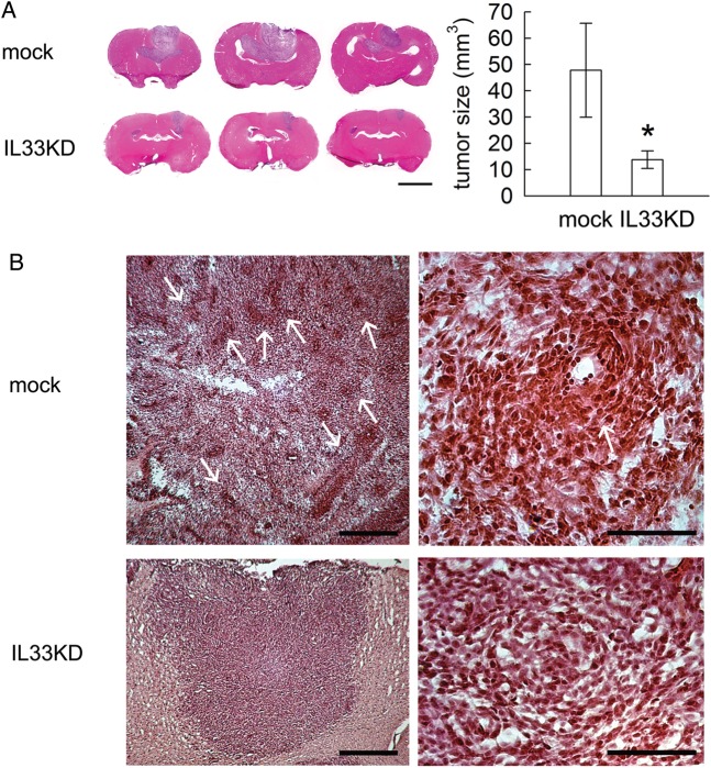 Fig. 9.