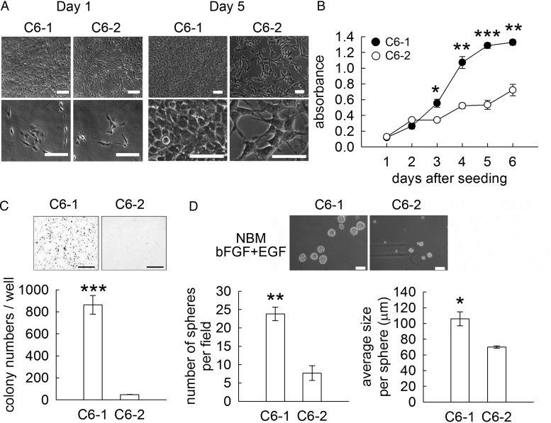 Fig. 2.