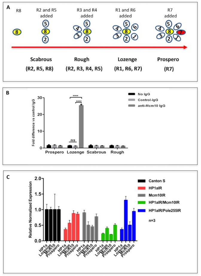 Figure 10.