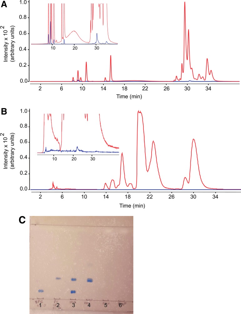 FIG. 2.