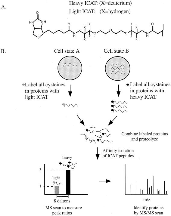 FIG. 12.