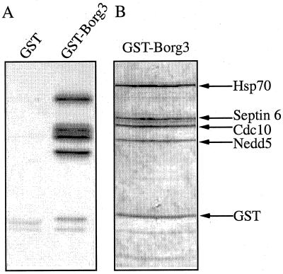 FIG. 11.