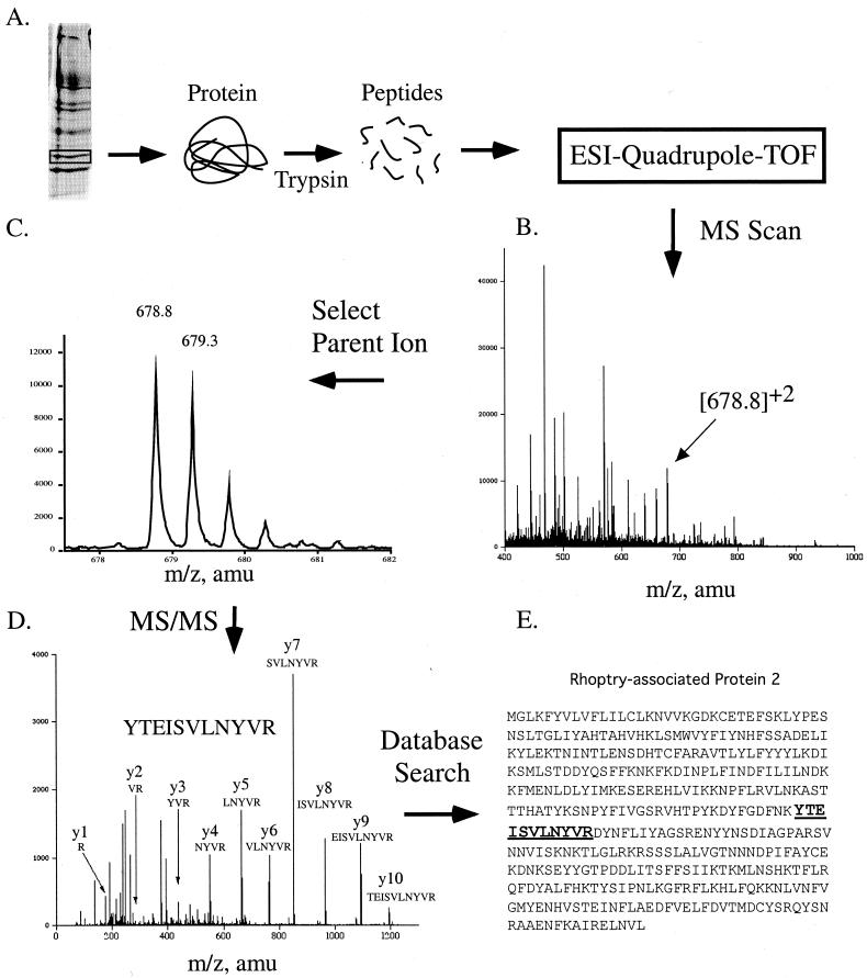 FIG. 8.