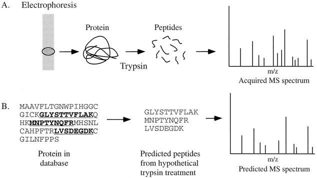 FIG. 9.