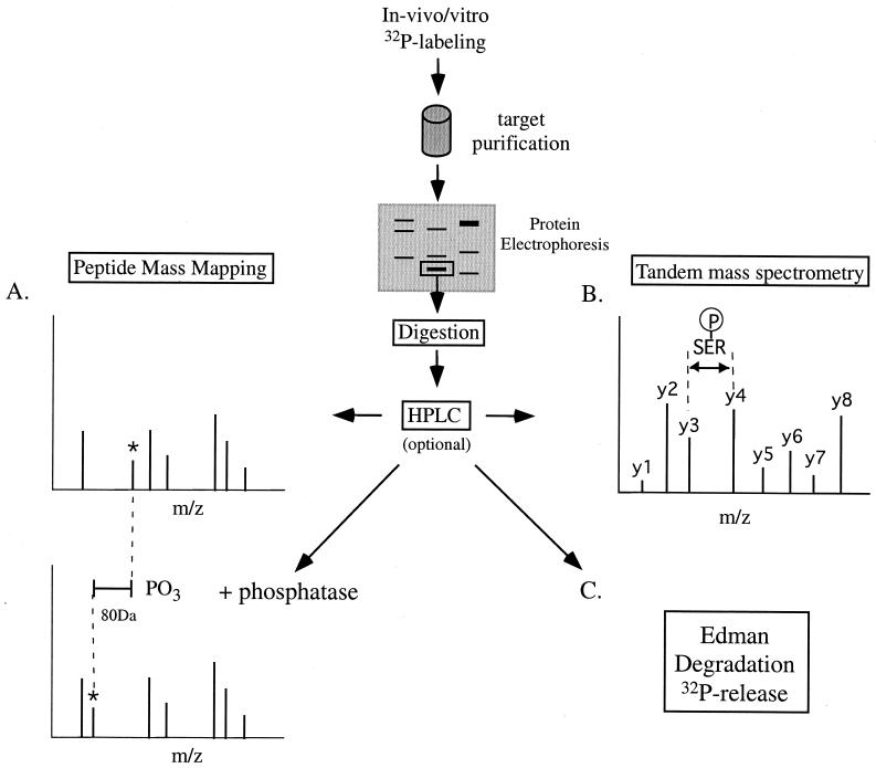 FIG. 14.