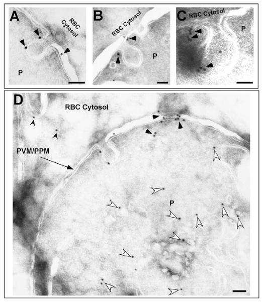 Fig. 10