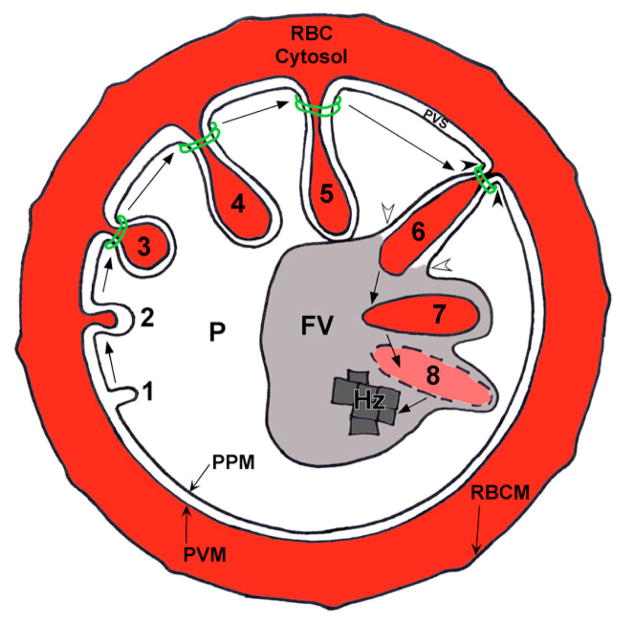 Fig. 13