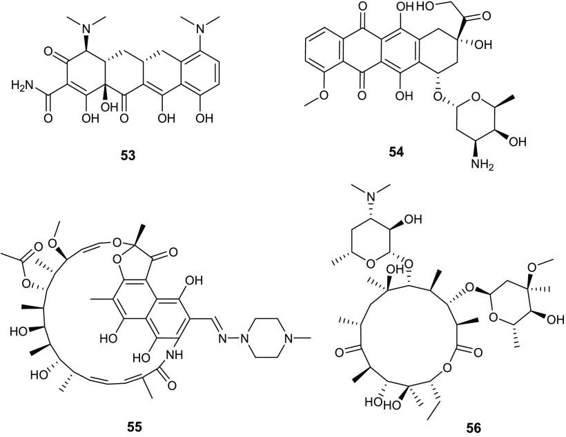 Figure 21