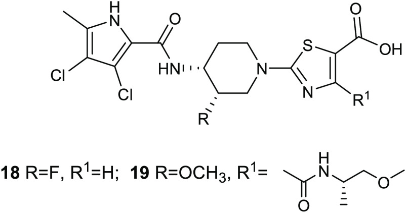 Figure 8