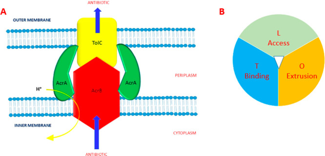 Figure 19