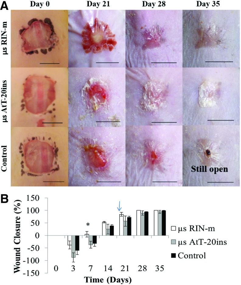 FIG. 7.