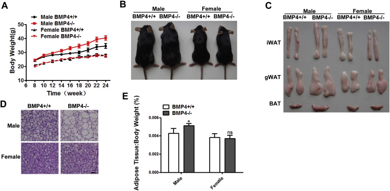 Supplementary Fig. 1