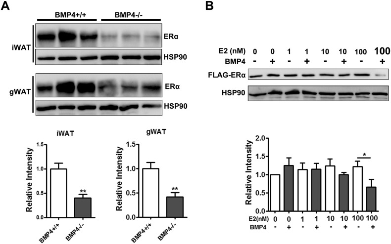 Supplementary Fig. 3