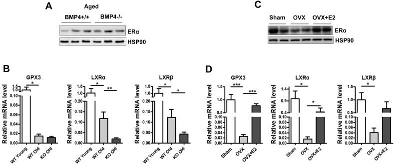 Supplementary Fig. 4