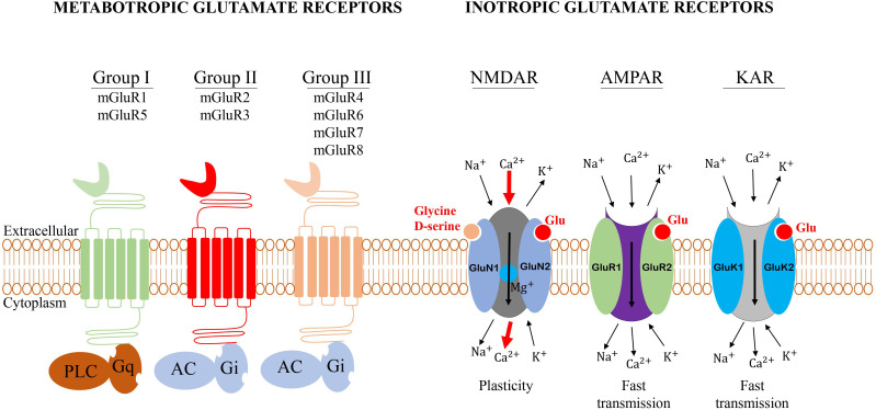 Figure 2