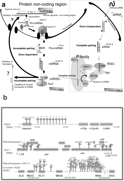 Fig. (1)