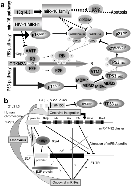 Fig. (3)