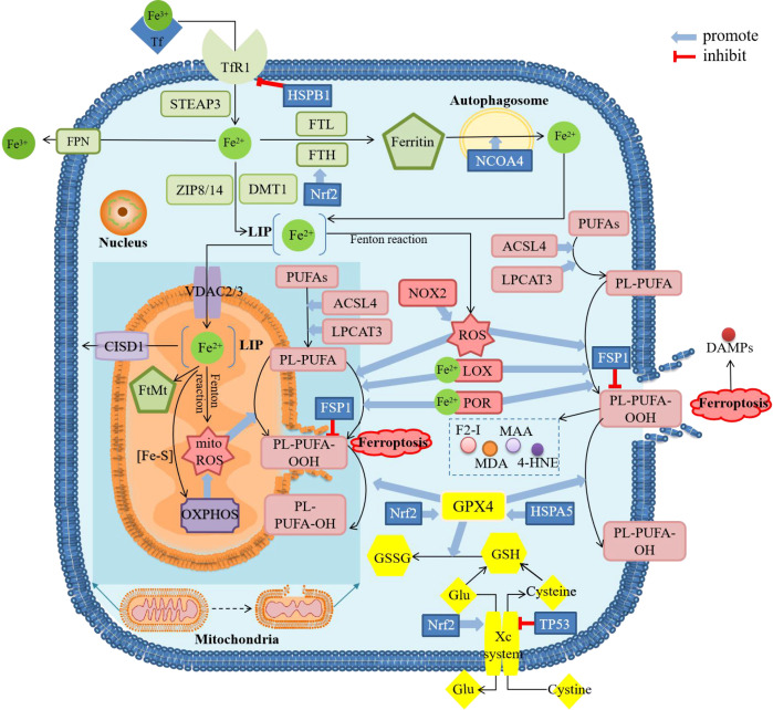 Figure 1