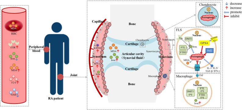 Figure 2